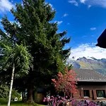 Chalet Cosy 87 In With Spectacular Mountain And Views Engelberg