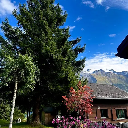 Chalet Cosy 87 In With Spectacular Mountain And Views Engelberg