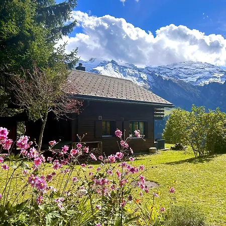 Cosy 87 In With Spectacular Mountain And Views Chalet *