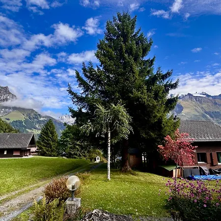 Dağ evi Cosy 87 In With Spectacular Mountain And Views Engelberg
