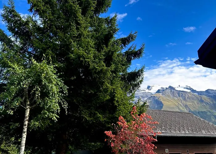 Chalet Cosy 87 In With Spectacular Mountain And Views Engelberg