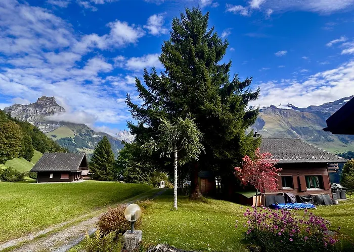 Chalet Cosy 87 In With Spectacular Mountain And Views Engelberg