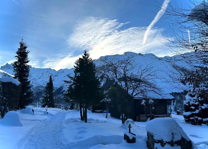 Cosy 87 In With Spectacular Mountain And Views Engelberg